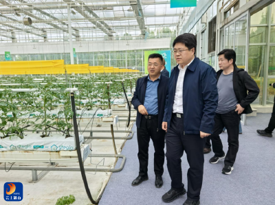 通山：精准招商拓新路 对标先进谋发展