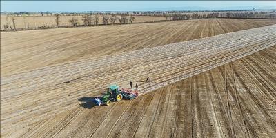 新疆棉花播种，用上了北斗导航 