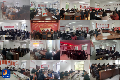 厦铺镇：抓实专题主题党日 筑牢廉洁履职防线