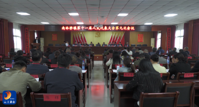V视丨南林桥镇第十一届人大九次会议召开