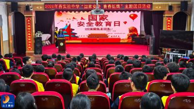 县实验中学开展“国家安全 挺膺担当”主题团日活动