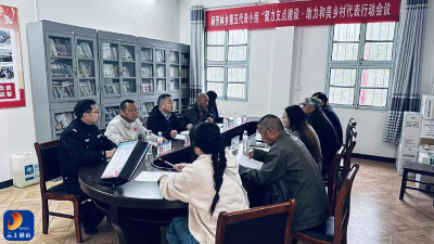 深学笃行强履职 实地调研察民情——杨芳林乡第五代表小组扎实开展代表行动