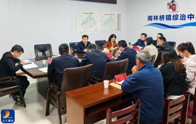 V视丨吴涛到学习教育联系点南林桥镇、湄溪村调研
