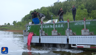 V视丨通山县开展水库增殖放流 百万尾鱼苗“安家”富水水库