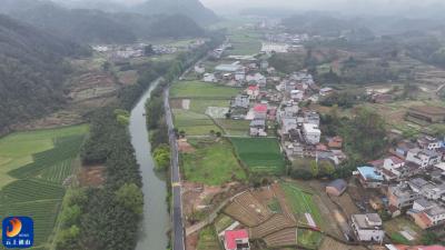 咸宁通山南林桥镇：鲜花换火纸 文明寄哀思