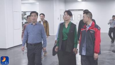 V视丨市政协来通山县开展专题调研