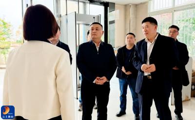 V视丨王功辉督导医保基金和社会救助群腐问题整治工作