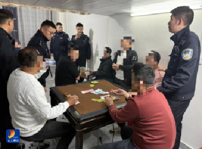 通山公安连续出击！查处2起赌博案，多人被处罚！