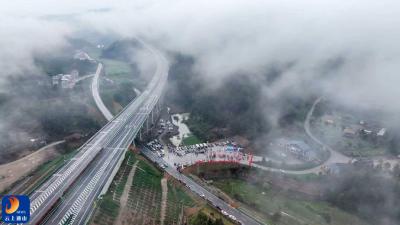 【图文】跑古道、采春茶、吃包坨！杨芳林今天“嗨”翻了