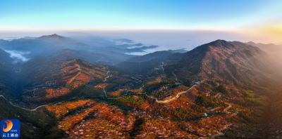 【通山美景㊴】太平山的春天是一首没有句点的诗