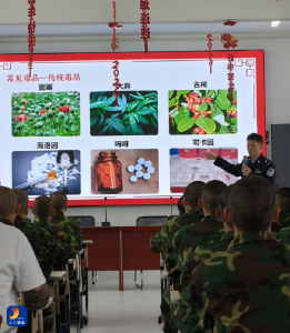 大路乡：禁毒宣讲进校园  法治护航助成长