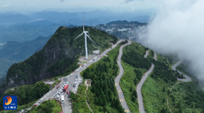 V视丨通山县清明节假期旅游市场火爆