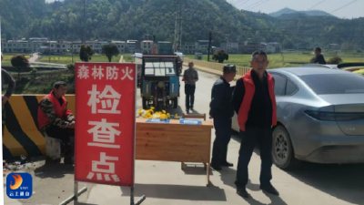 南林桥镇：清明护林防火不松懈 文明祭扫树新风