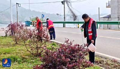【清洁家园在行动】慈口乡：红马甲扮靓家园