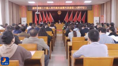 V视丨通羊镇召开第二十届人民代表大会第六次会议