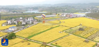 通山：立体山水绘新村 小精赋能促共富