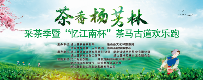 【活动预告】茶香杨芳林——“忆江南杯”茶马古道欢乐跑活动预告