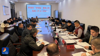 洪港镇：非粮化整改与春播同推进 守牢耕地红线 筑牢粮食根基  