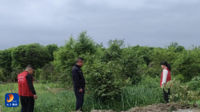 九宫山镇横石潭社区：开展禁种铲毒踏查行动 筑牢无毒防护网  