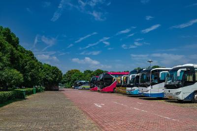 五一跟团游注意！避免“强制消费”等乱象 签合同认准新版