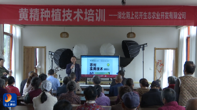 V视丨杨芳林乡：黄精种植培训进乡村 中医义诊惠民暖人心