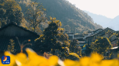 通山：三抓三落实持续推动传统村落保护利用