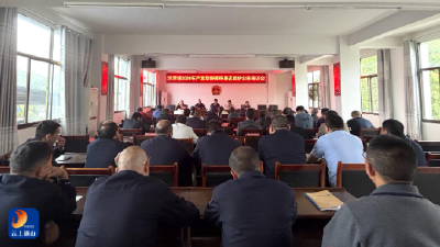 洪港镇召开2026年严重精神障碍患者监护业务培训会