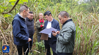 杨芳林乡：翻山越岭定边界，实干为企拓通途