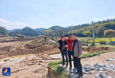 杨芳林乡：高标准农田夯根基 春耕生产忙不停 政企同心绘就乡村振兴好“丰”景