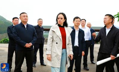 V视丨住房城乡建设部帮扶办公室来通山县调研