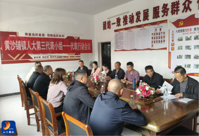 学思践悟砺初心 深研细谋办实事 ——黄沙铺镇第三代表小组开展代表行动