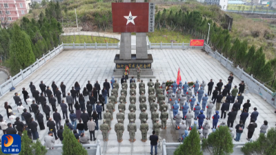 通山人武部开展清明节前祭扫暨民兵整组点验