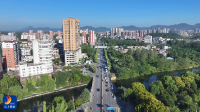 【圆梦“三区” 通山“有解” 】V视丨金晶：履职担当“有解”思维   护航通山“三区”建设