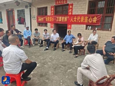 聚力支点建设 助力滨湖康养小镇 燕厦乡人大代表在行动抓实人居环境整治 