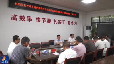 V视丨县领导赴大路乡调研
