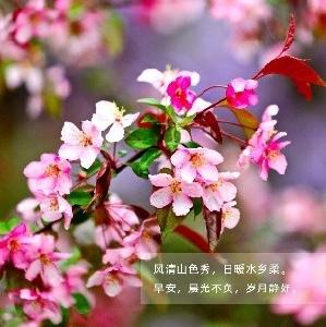 早安通山（2026年6月6日）