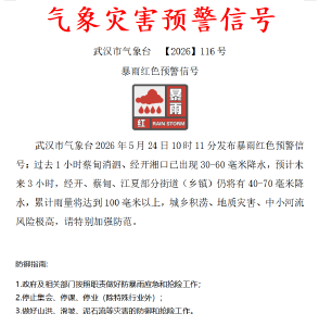 武汉：停止集会、停课、停业 