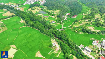 通山：一河碧水 满村笑声