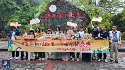 V视丨千万粉丝大V齐聚通山 沉浸式采风推介枇杷文旅