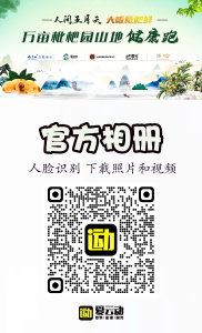 人间五月天 大畈枇杷鲜 万亩枇杷园山地健康跑5月23日开跑！扫码免费下载本人照片和视频
