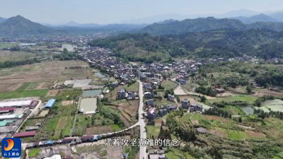 【圆梦“三区” 通山“有解”访谈】V视丨南成村：秉持“有解”思维，走出特色乡村振兴之路