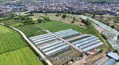 【圆梦“三区” 通山“有解”访谈 】V视丨九宫山镇：鼓足干劲拼发展  锚定 “三区” 启新程 
