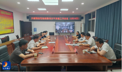 大畈镇：绷紧防汛安全弦 筑牢防汛防护墙