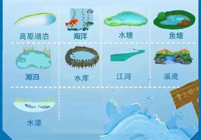 防溺水，这些知识要牢记！