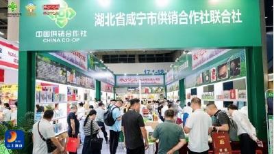 通山优品“出山入湾”特色水果叩响粤港澳大湾区市场