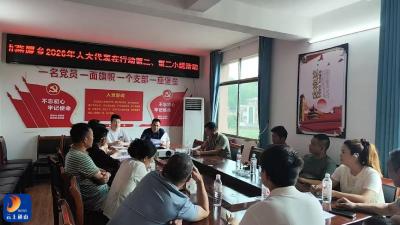 燕厦乡人大代表履职监督 护航高标准农田建设