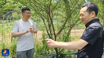 通山县机关事务服务中心：深入驻点村开展专题调研