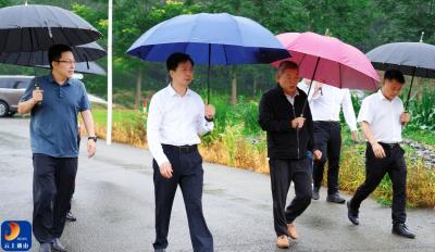 乐建舜到通山县南林桥镇石门村调研