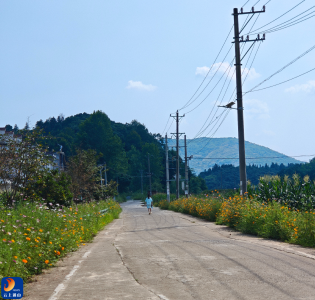 燕厦乡：路肩添新花 乡村换新颜