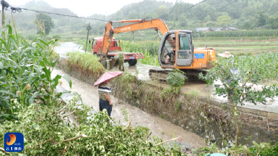 V视丨闻“汛”而动 —通山县党员干部一线战暴雨保民安